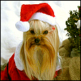Christbaum-Schmuck