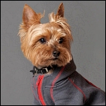 Hoodies, Jogger, Söckchen...