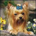 Die passende Spülung