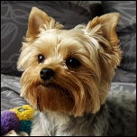 Zubehör-Box & Bademantel