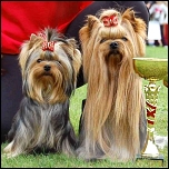 Zubehör für die Ausstellung