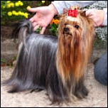 Pflege für die Ausstellung