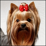 Schleifen mit Gummiringen