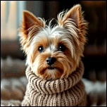 Viele schöne Strickpullis