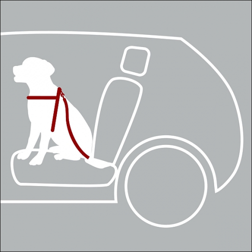 Sicherheitsgurt für kleine Hunde
