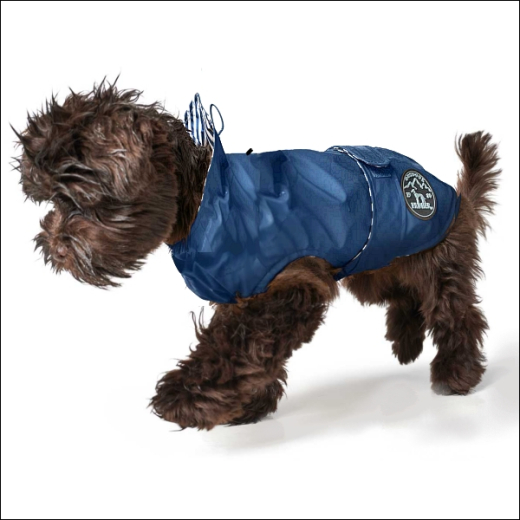 Kleinhunde-Regenmäntelchen »Norderney« - Blue