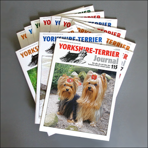 YORKSHIRE-TERRIER-JOURNAL - Abo-Angebot!