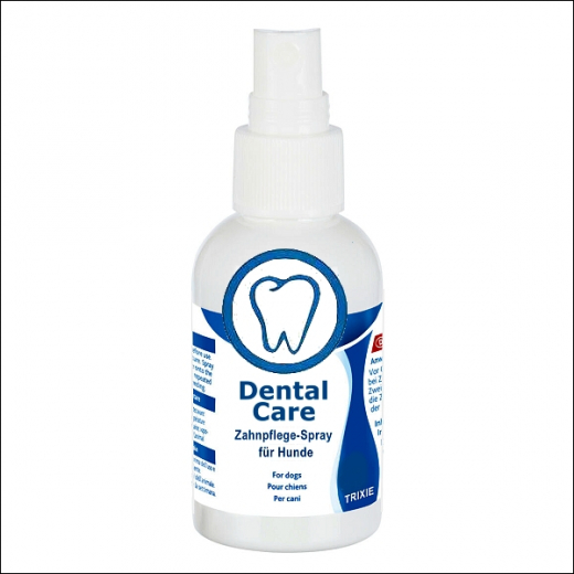 Zahnpflege-Spray »Dental Care«
