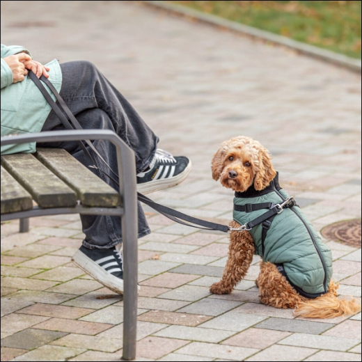 Kleinhunde-Mäntelchen »Trentino« - Jade