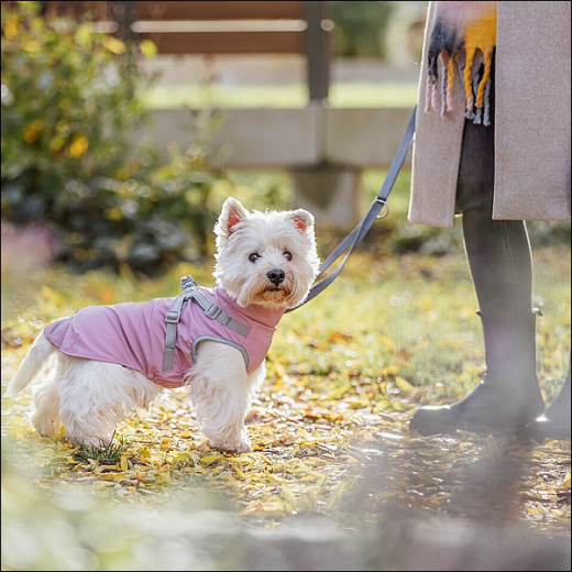 Kleinhunde-Regenmäntelchen »Chira«