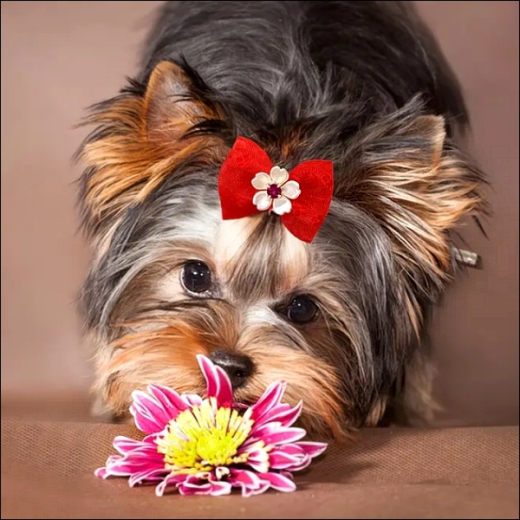 Schleifen im 2-Farben-Kombi »Flower«