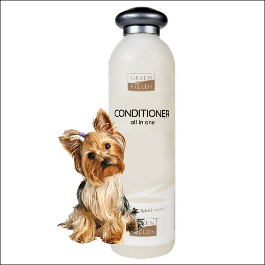 Greenfield Shampoo und Spülung »All in One«