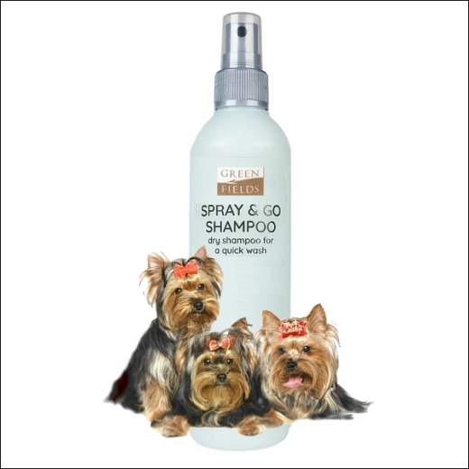 Greenfield Trocken-Schnellwäsche »Spray & Go«