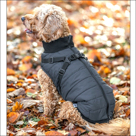 Kleinhunde-Mäntelchen »Trentino« - Pigeonblue