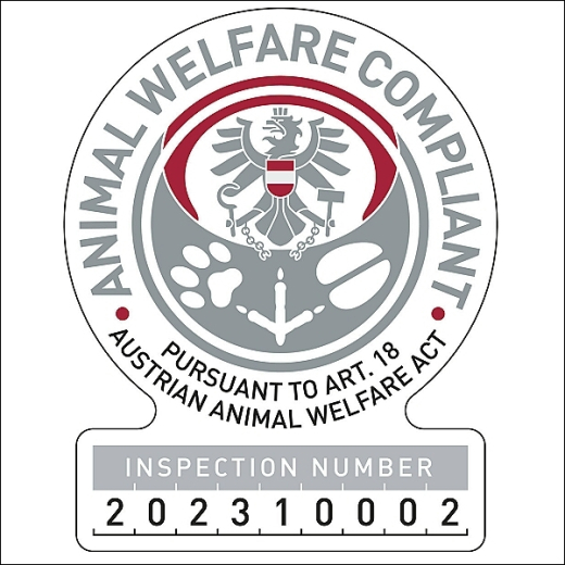 Fahrradkorb mit Klick-Schnellverschluss