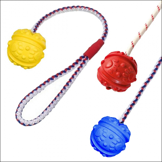 Yorkies »Spielball mit Seil«