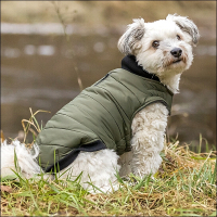 Kleinhunde-Mantel »Salzburg« - Olivgrün