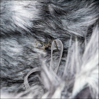 Front-Umhängetasche »Livigno«