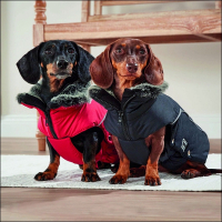 Yorkie-Mantel »Davos« - Winterblau