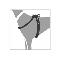 Kleinhunde-Ledergeschirr »Luxus Petit Black«