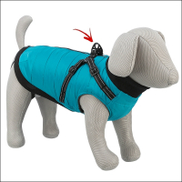 Kleinhunde-Mäntelchen »Trentino« - Türkis