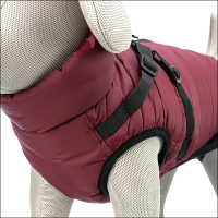 Kleinhunde-Mäntelchen »Trentino« - Cardirot