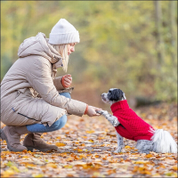 Kleinhunde-Pulli »Meran« - Coralrot