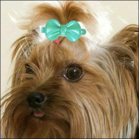 Plastikspangen »Cosy«