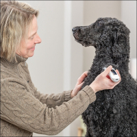 Akku-Schermaschine »TR 1600«