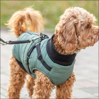 Kleinhunde-Mäntelchen »Trentino« - Jade