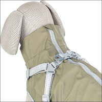 Kleinhunde-Regenmäntelchen »Amrum«