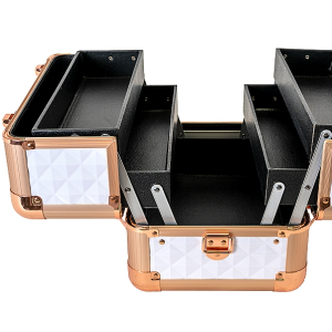 Utensilien-Box / Show-Buttler »Silver«