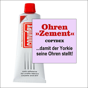 »Ohren-Zement« - die Ohren-Stehhilfe