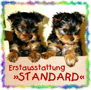 ANGEBOT: Yorkies Erstausstattung »Standard«