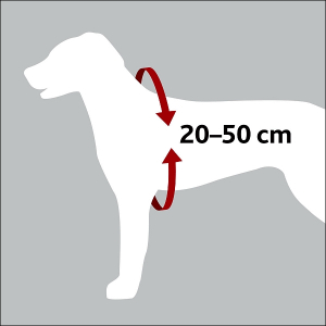 Sicherheitsgurt für kleine Hunde