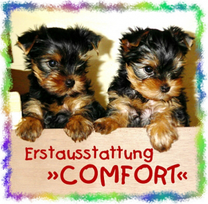 ANGEBOT: Yorkies Erstausstattung »Comfort«