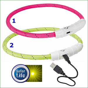 LED-Leucht-Halsband »Flashlight« - USB