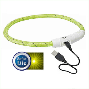 LED-Leucht-Halsband »Flashlight« - USB