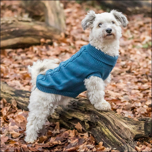 Kleinhunde-Pulli »Dolomiti« - Saphir-Blue