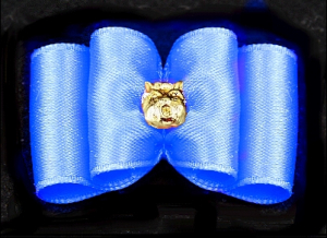 Satin-Haarspange »Yorkie Gold« - Skyblue