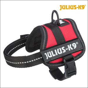 Julius-K9® Qualitäts-Geschirr / Red