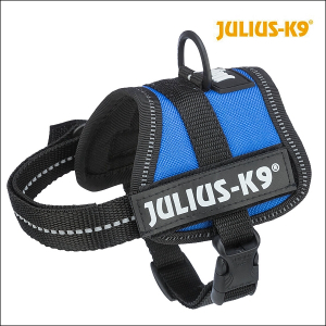 Julius-K9® Qualitäts-Geschirr / Blue