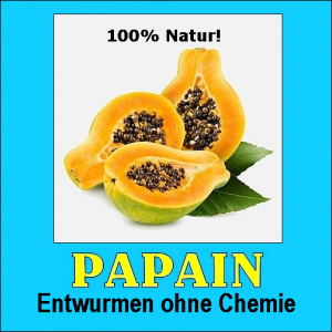 EMPFEHLUNG: Biologisches Entwurmen mit »Papain«