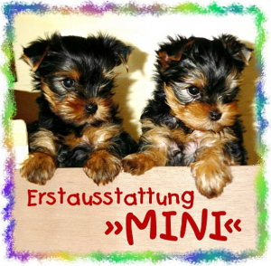 ANGEBOT: Yorkies Erstausstattung »Mini«